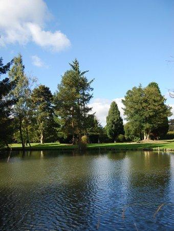 Derwent Restaurant at Hackness Grange Hotel